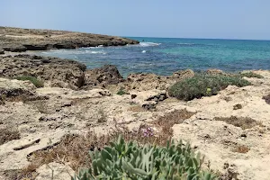 Aviv's Beach image