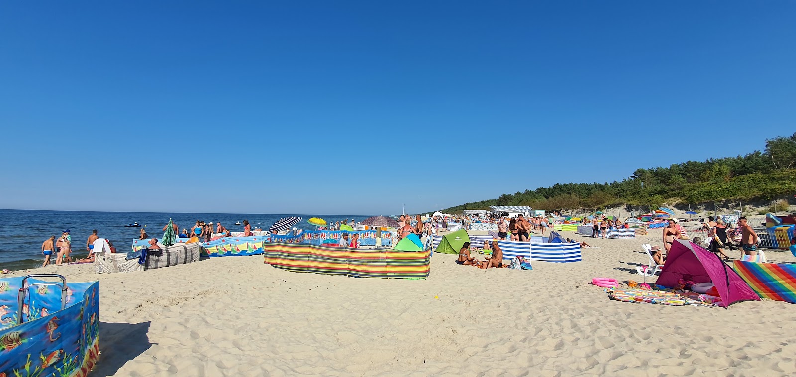 Photo de Krynica Morska beach avec droit et long