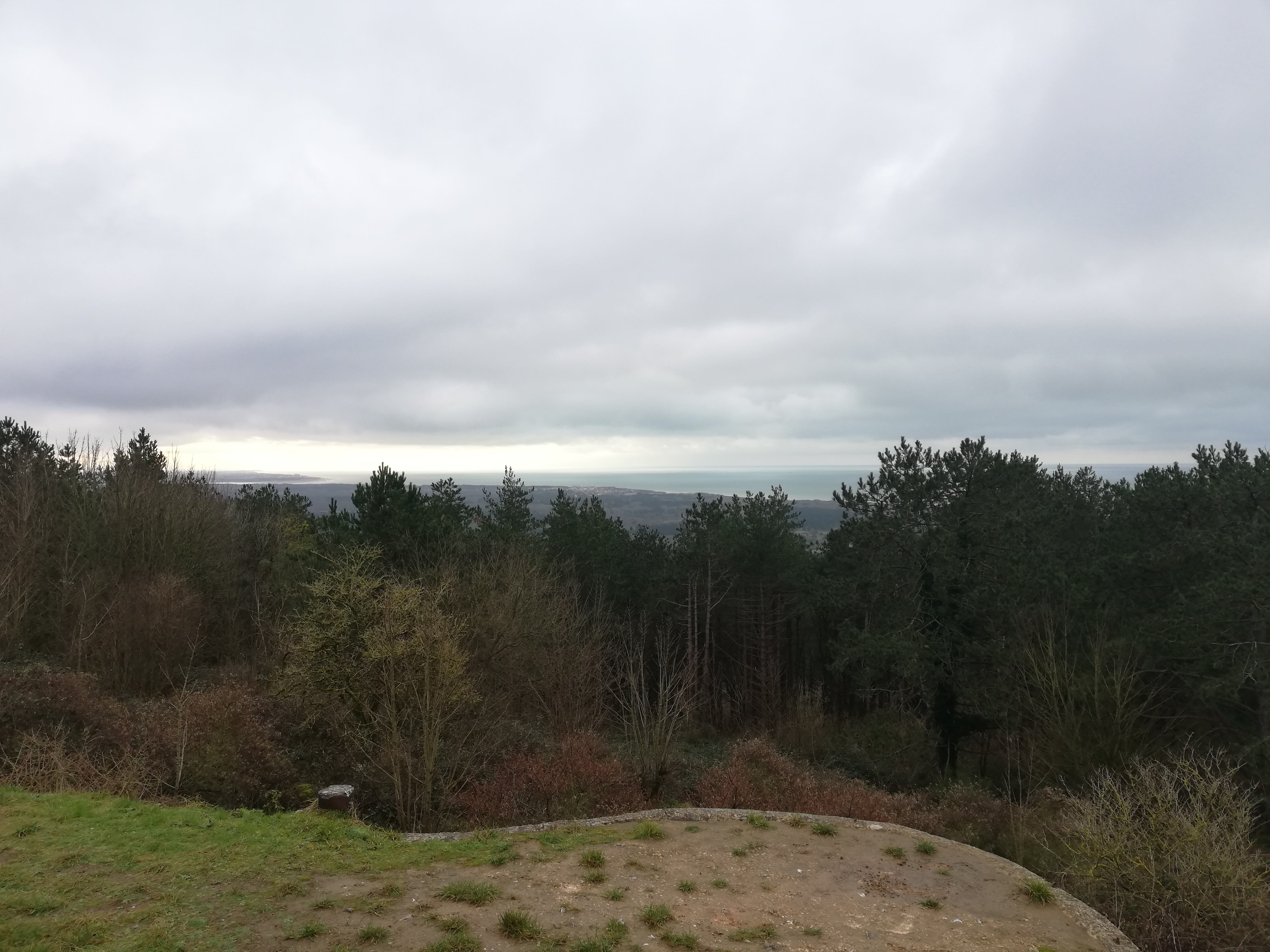 Photo n° 5 de l'avis de Vince.e fait le 12/01/2021 à 11:33