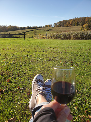 Winery «Rustic Ridge Winery», reviews and photos, 2805 St Hwy 80, Burlington Flats, NY 13315, USA