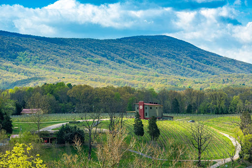 Vineyard «Muse Vineyards», reviews and photos, 16 Serendipity Ln, Woodstock, VA 22664, USA