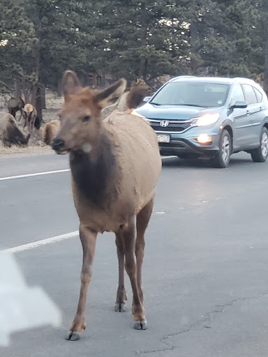 Gym «Rocky Mountain Health Club», reviews and photos, 1230 Big Thompson Ave, Estes Park, CO 80517, USA
