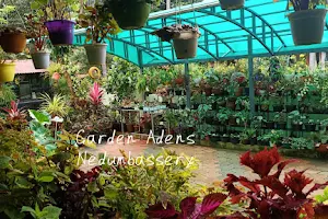 Tintu's Garden Adens image
