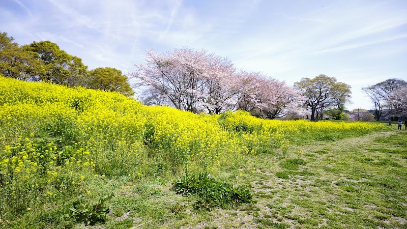 岡城 西の丸跡