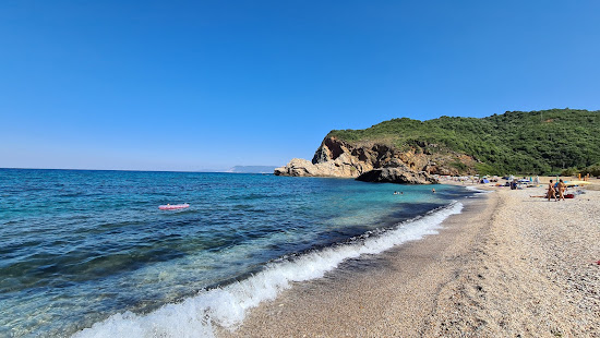 Palsi beach