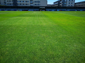 Estádio do Passal, Ribeirão FC