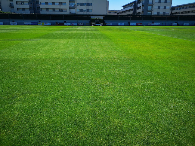 Estádio do Passal, Ribeirão FC