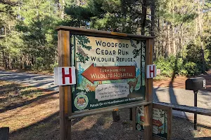 Woodford Cedar Run Wildlife Refuge image