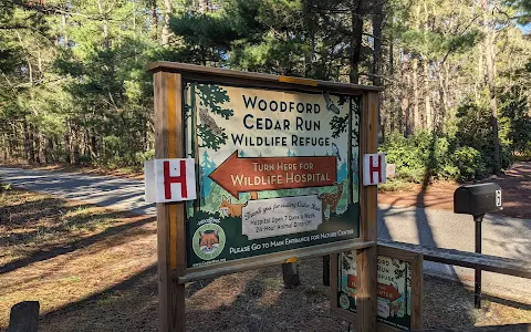 Woodford Cedar Run Wildlife Refuge image