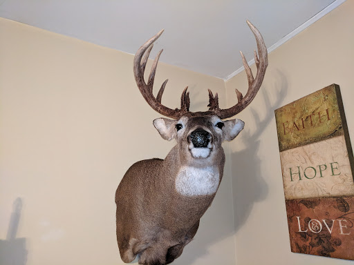 Brooke's Taxidermy