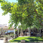 Photo n°2 de l'avis de Mary.r fait le 02/06/2021 à 12:38 sur le  Cicerietria à Otranto