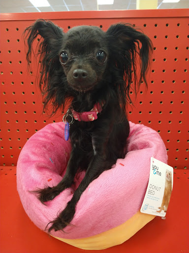 Pet Supply Store «Petco Animal Supplies», reviews and photos, 2784 W Peoria Ave, Phoenix, AZ 85029, USA