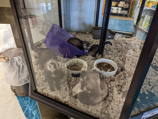 Pet Supply Store «Petco Animal Supplies», reviews and photos, 2230 Marlton Pike W #3, Cherry Hill, NJ 08002, USA