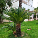 Photo n°3 de l'avis de Oriana.o fait le 25/02/2024 à 07:35 sur le  Park Hotel La Grave à Castellana Grotte