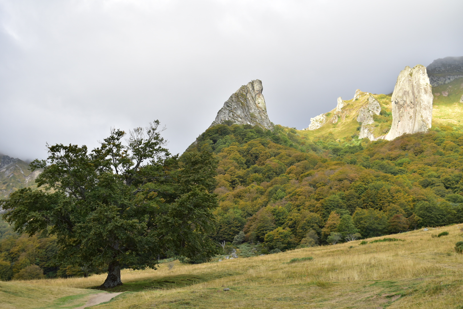 Photo n° 7 de l'avis de Alain.i fait le 23/09/2020 à 16:23