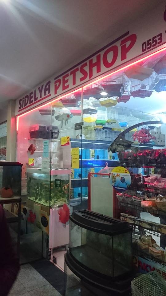 sidelya pet shop