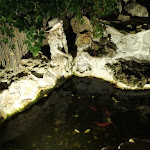 Photo n°2 de l'avis de Stefano.a fait le 19/08/2021 à 09:45 sur le  Trattoria Pizzeria centro colonico à Torre San Giovanni