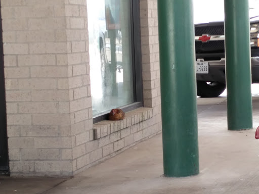 Fast Food Restaurant «Sonic Drive-In», reviews and photos, 926 W McGregor Dr, McGregor, TX 76657, USA