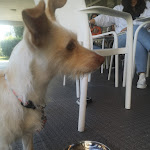 Photo n°1 de l'avis de Melissa.e fait le 08/07/2023 à 16:13 sur le  Tosco à Porto