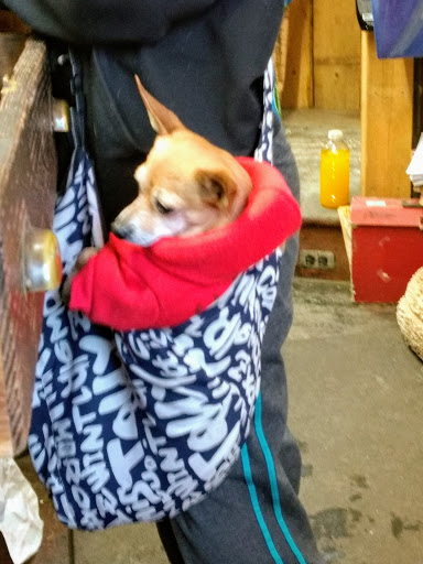 Pet Supply Store «Higbie Farm Supplies Inc», reviews and photos, 3440 Union St, North Chili, NY 14514, USA