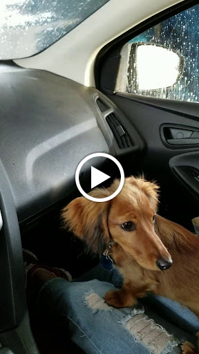 Car Wash «Express Car Wash», reviews and photos, 3949 S Belt Line Rd, Grand Prairie, TX 75052, USA