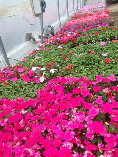 Florist «Countryside Flower Shop», reviews and photos, 5301 E Terra Cotta Ave, Crystal Lake, IL 60014, USA