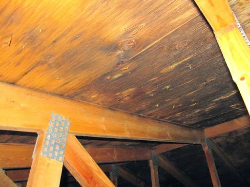 Ottawa Mold and Asbestos inspections