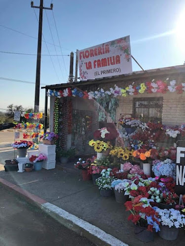 Florería "La Familia" (El Primero De La Guardia Nueva)