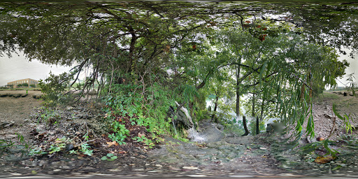 Health Club «Pure Austin Fitness», reviews and photos, 4210 W Braker Ln, Austin, TX 78759, USA