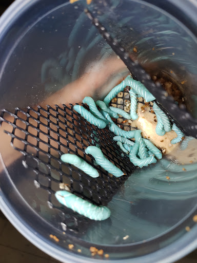 Pet Store «Gills And Thrills Pet Shop», reviews and photos, 204 E 8th St, Lockport, IL 60441, USA