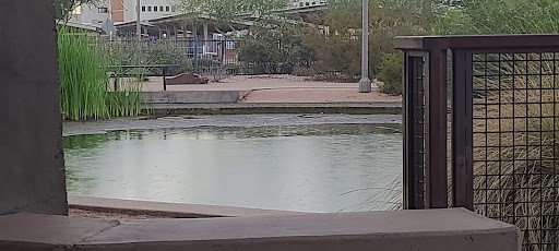City Park «Steele Indian School Park», reviews and photos, 300 E Indian School Rd, Phoenix, AZ 85012, USA