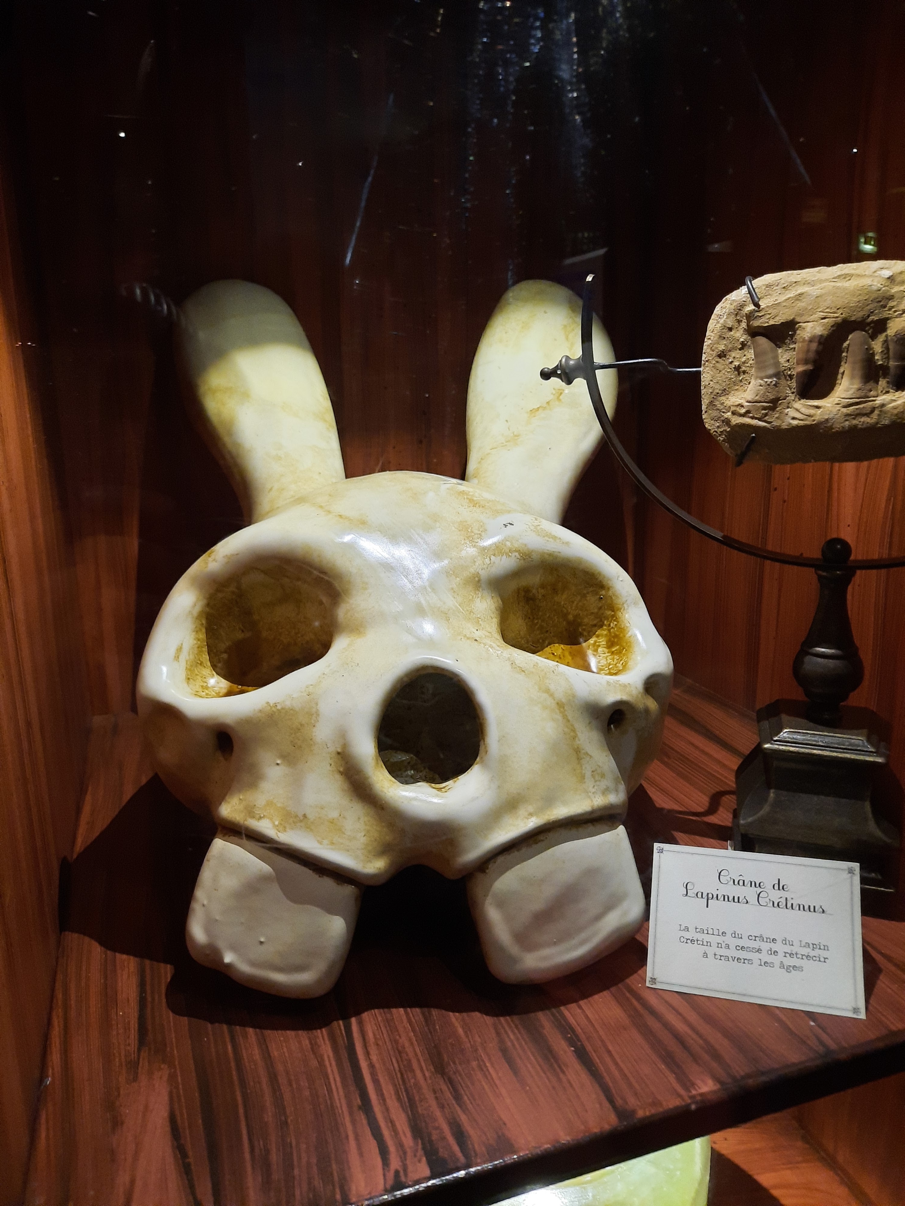 Photo n° 3 de l'avis de Solen.a fait le 26/07/2022 à 18:09