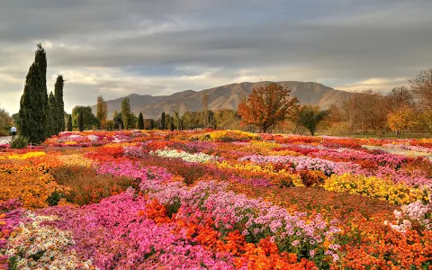 National Botanical Garden of Iran image