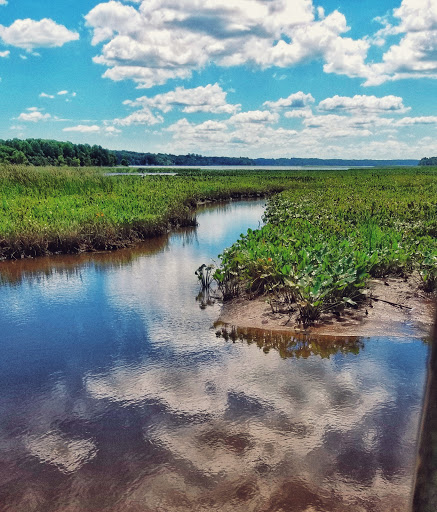 Nature Preserve «Jug Bay Wetlands Sanctuary», reviews and photos, 1361 Wrighton Rd, Lothian, MD 20711, USA