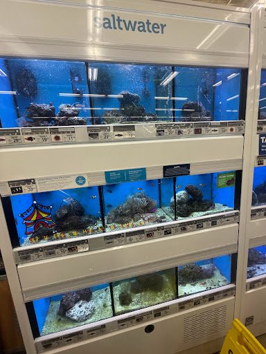 Pet Supply Store «Petco Animal Supplies», reviews and photos, 10511 S 15th St, Bellevue, NE 68123, USA