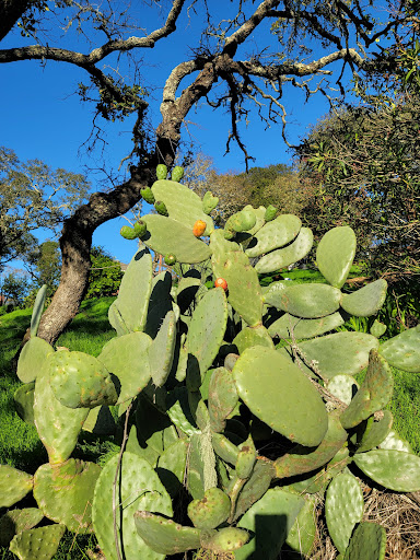 Club «StoneTree Golf Club (A Bay Club Property)», reviews and photos, 9 Stone Tree Ln, Novato, CA 94945, USA