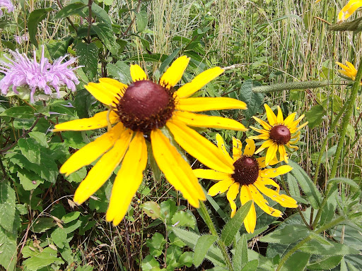 Battle Site «Third Battle of Winchester Battlefield Park», reviews and photos, 541 Redbud Rd, Winchester, VA 22603, USA