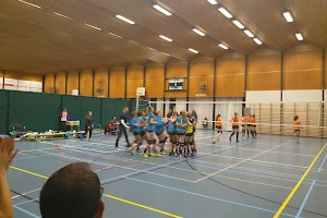 Sportdienst Kruishoutem image