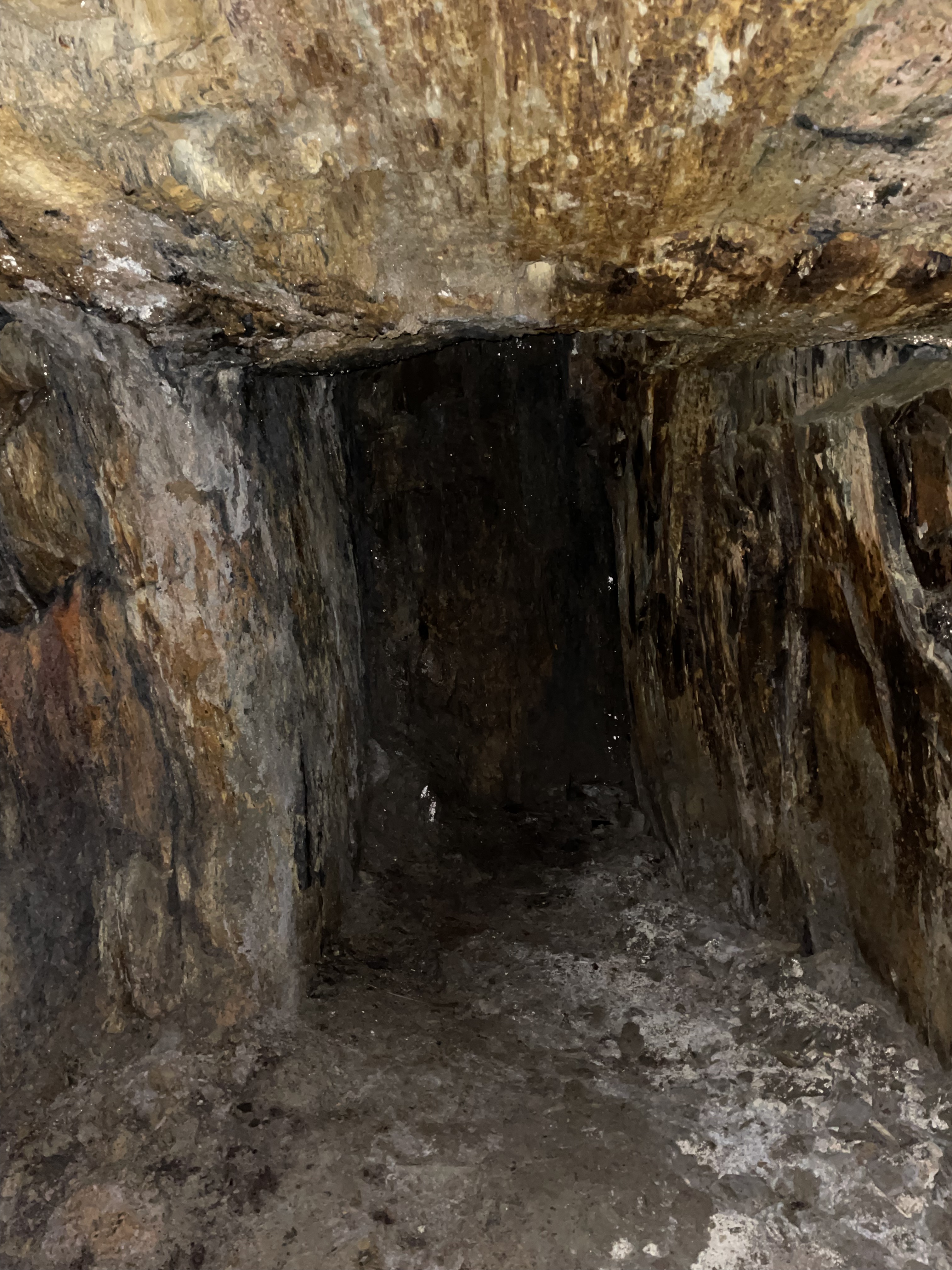 Photo n° 1 de l'avis de mc.y fait le 21/08/2023 à 07:52