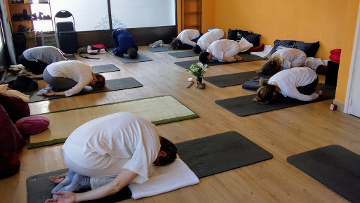 kailash centro de yoga y reiki