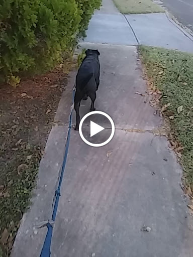 Park «Dellview Park», reviews and photos, 500 Basswood Dr, San Antonio, TX 78213, USA