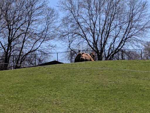 Zoo «Minnesota Zoo», reviews and photos, 13000 Zoo Blvd, Apple Valley, MN 55124, USA