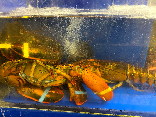 Shopping Mall «West Broad Commons Shopping Ctr», reviews and photos, 9031 W Broad St, Richmond, VA 23294, USA