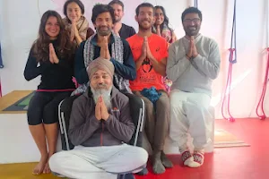 SYIWR - Swaraj Yoga Institute & Wellness Retreats image