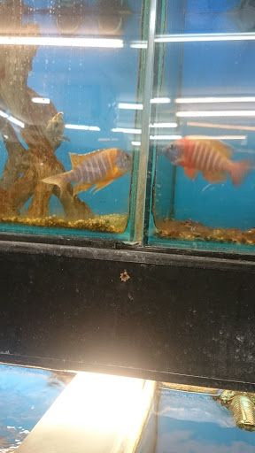 Pet Store «Pets Plus - Quakertown», reviews and photos, 117 S West End Blvd, Quakertown, PA 18951, USA