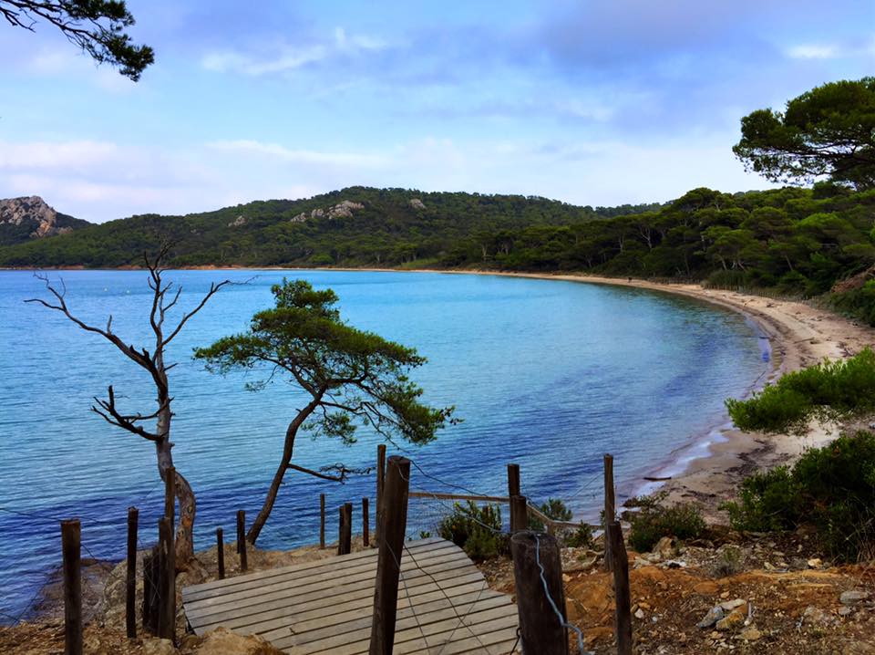 Plage de la Courtade photo #8