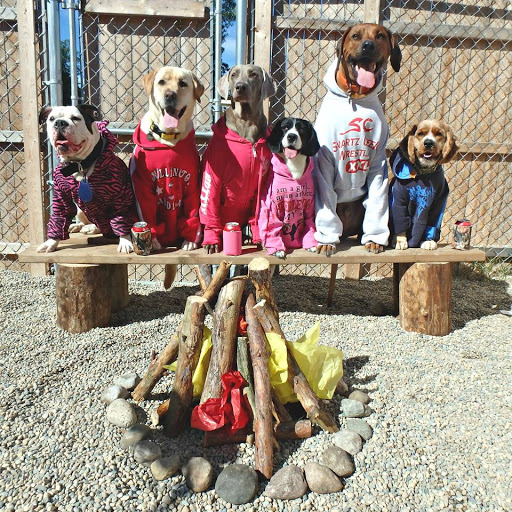 Flying A Canine Ranch