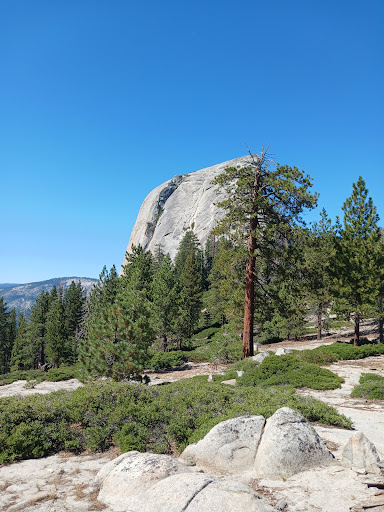 Sub dome