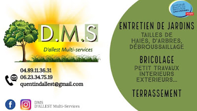 DMS D'ALLEST Multi-services à Garéoult