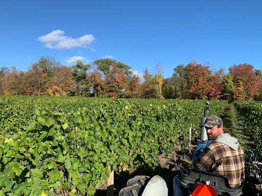 Winery «Hosmer Winery», reviews and photos, 7020 NY-89, Ovid, NY 14521, USA